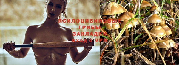 стафф Лихославль