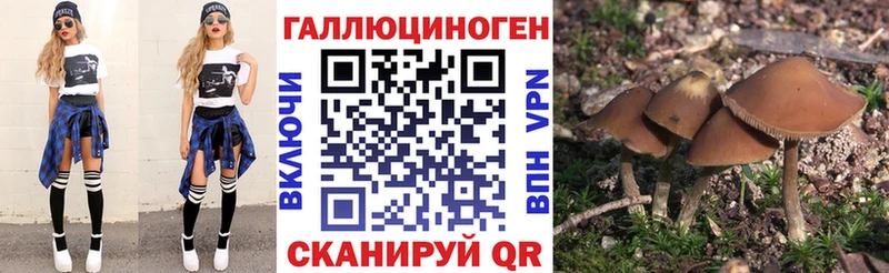 Псилоцибиновые грибы GOLDEN TEACHER  гидра зеркало  Южноуральск 